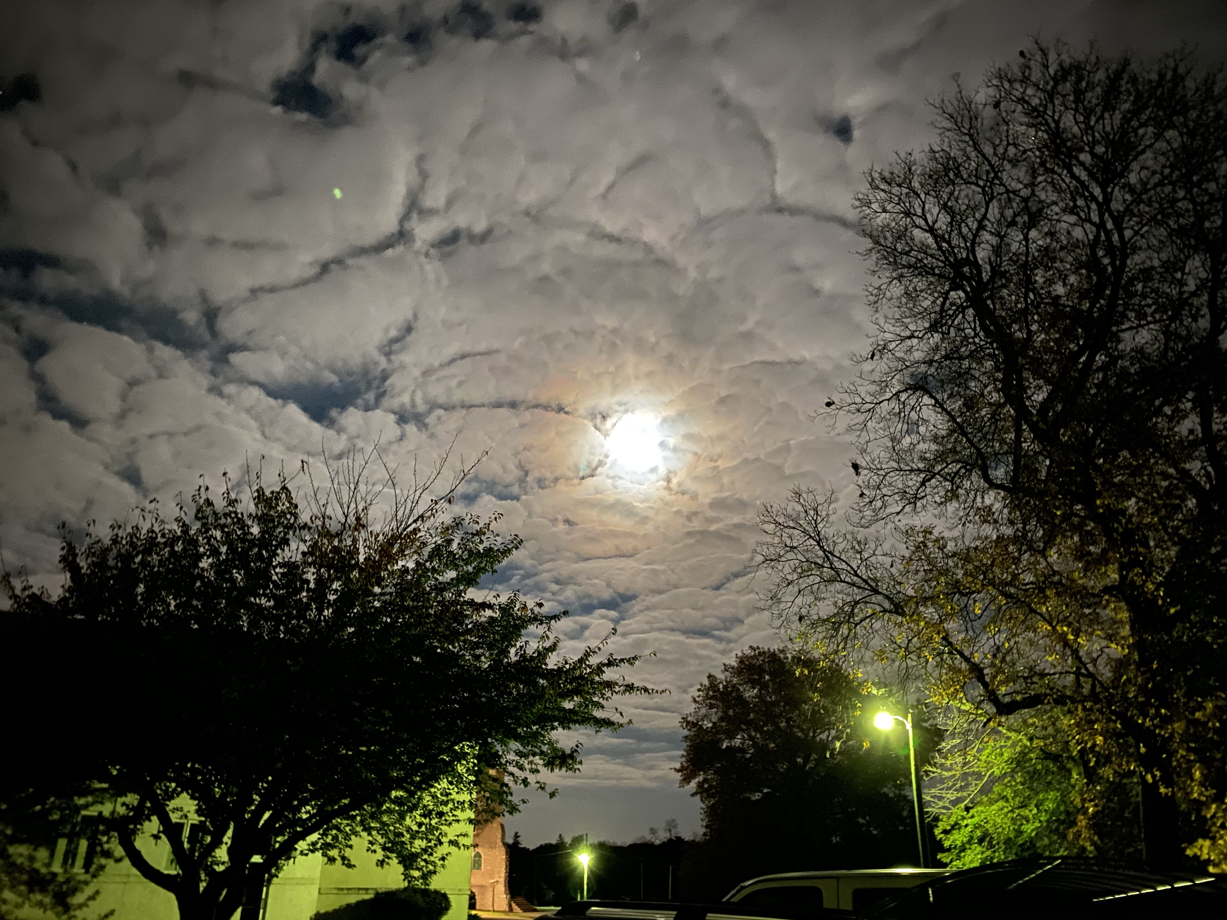 The Night Sky – A Singular Passion
